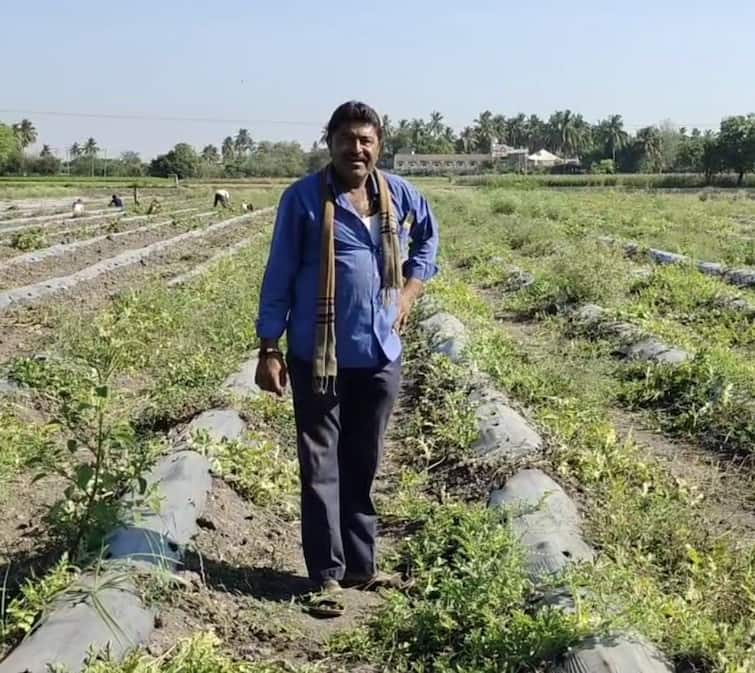 A farmer from Gir Somnath cultivated watermelon using natural methods Gir Somnath: ગીર સોમનાથના આ ખેડૂતે શેરડીના રસ દ્વારા પકવ્યા તરબુચ, મીઠાસ એટલી કે કૃષિ અધિકારીએ પણ કર્યા વખાણ