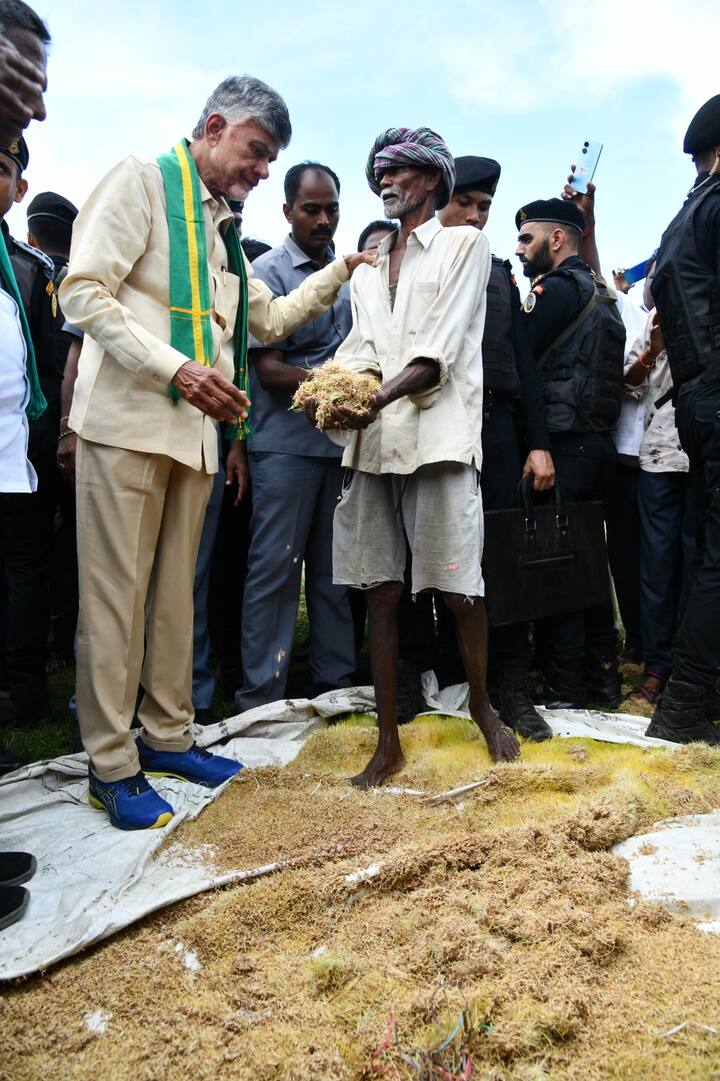 పూర్తిగా మొలకలు వచ్చిన పంటను చంద్రబాబుకు చూపిస్తున్న రైతు