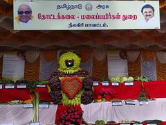 நீலகிரி கோடை விழா துவக்கம் ; சுற்றுலா பயணிகளை கவரும் காய்கறிகள் கண்காட்சி!