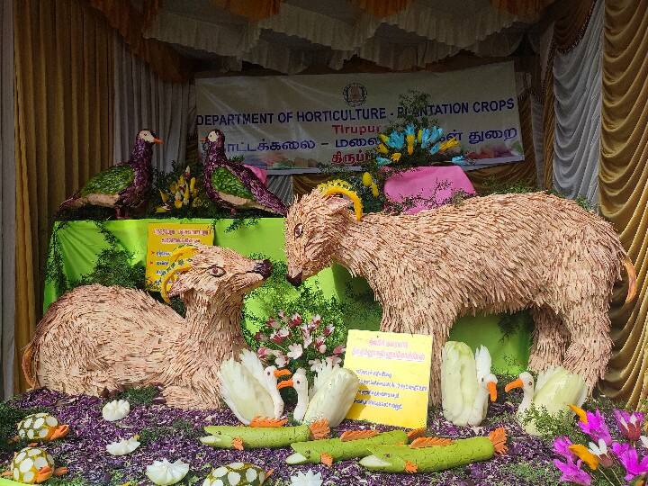 காய்கறிகளால் செய்யப்பட்ட வரையாடுகள் உருவம்