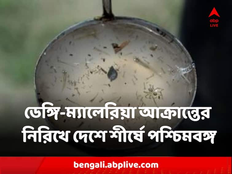West Bengal Has Highest Number Of Dengue Malaria Affected Report Creates Concern