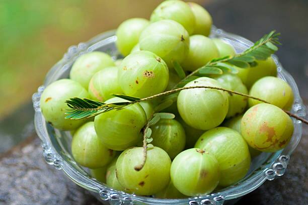நீண்ட ஆயுளையும் உடல் பலத்தையும் தரக்கூடிய நெல்லிக்காயானது, இந்திய மக்களிடையே பயன்பாட்டில் நிறைந்து காணப்படுகிறது.