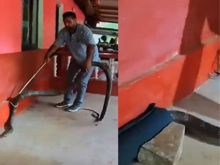Watch Video 15-Foot-Long Cobra Hides Under A Car, Snake Catcher Skillfully Rescues It Viral Video: కారు కింద దూరిన 15 అడుగుల కోబ్రా,ఎలా బయటకు తీశారో చూడండి - వైరల్ వీడియో