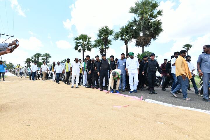 రోడ్డుపై ఆరబోసిన ధాన్యాన్ని స్వయంగా పరిశీలిస్తున్న చంద్రబాబు