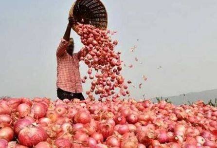 Agriculture News : नाफेडमार्फत (Nafed) तात्काळ कांद्याची खरेदी करण्यात यावी, अशी मागणी राज्यमंत्री डॉ. भारती पवार यांनी वाणिज्य मंत्री पियूष गोयल (Minister Piyush Goyal ) यांच्याकडे केली आहे.