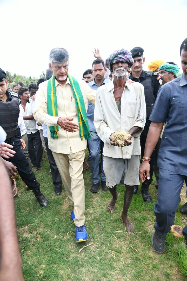 తన పొలంలో పూర్తిగా తడిచిపోయిన మొక్కజొన్నను చంద్రబాబుకు చూపిస్తున్న రైతు