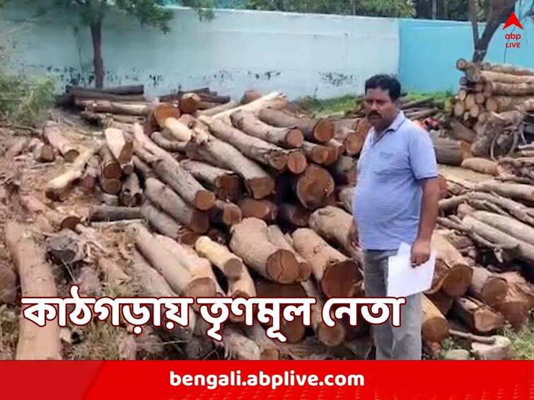 Bankura TMC leader accused of land encroachment Bankura News: জমি দখল করে কাঠকল! কাঠগড়ায় শাসকদলের নেতা