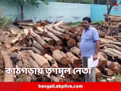 জমি দখল করে কাঠকল! কাঠগড়ায় শাসকদলের নেতা