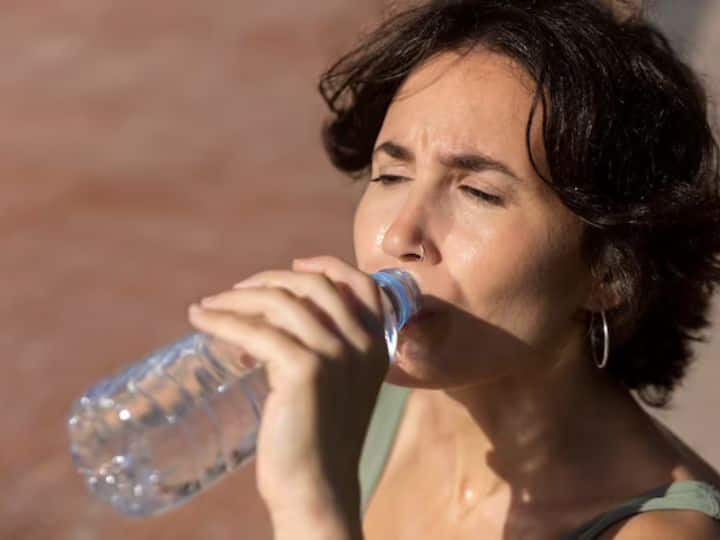 Dehydration Can Cause These 4 Damages To Your Intestine आपकी आंत को डैमेज कर सकता है 'डिहाइड्रेशन', इन 4 खतरनाक लक्षणों को कभी न करें नजरअंदाज
