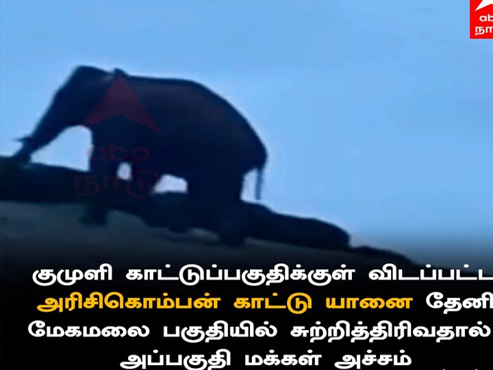 கேரள அரிக்கொம்பன் காட்டு யானை தமிழக வனப்பகுதிக்குள் இறங்கியதால் பொதுமக்கள் அச்சம்