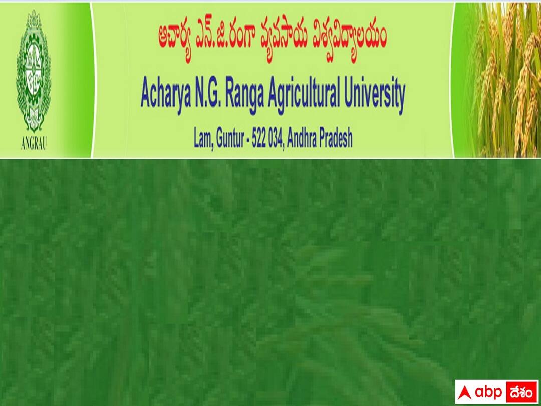 ANGRAU has released notification for the recruitment of various posts ANGRAU: ఎన్జీ రంగా అగ్రికల్చరల్ యూనివర్సిటీలో 46 ఫీల్డ్ సూపర్‌వైజర్, ఫీల్డ్ ఇన్వెస్టిగేటర్ పోస్టులు, అర్హతలివే!