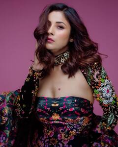 Shehnaaz Gill Net Worth: छोटे से करियर में करोड़ों की मालकिन हैं शहनाज गिल, एक इंस्टा पोस्ट की लेती हैं इतनी फीस