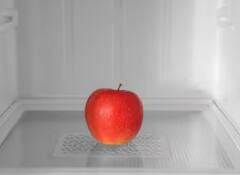 ਜੇਕਰ ਤੁਸੀਂ ਵੀ ਸੇਬ ਨੂੰ ਫਰਿੱਜ 'ਚ ਰੱਖਦੇ ਹੋ, ਤਾਂ ਭੁੱਲ ਕੇ ਵੀ ਨਾ ਕਰੋ ਇਹ ਗਲਤੀ, ਸਿਹਤ ਨੂੰ ਹੋਵੇਗਾ ਇਹ ਨੁਕਸਾਨ