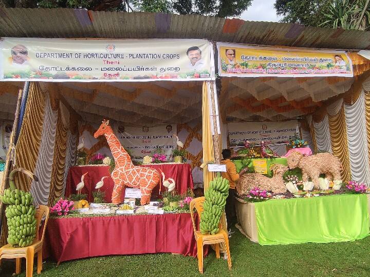 தோட்டக்கலை துறை சார்பில் அமைக்கப்பட்டுள்ள அரங்குகள்