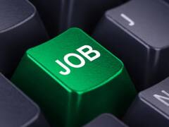 उदयपुर में लगने जा रहा प्लेसमेंट मेला, CA पासआउट को मिलेगी नौकरी, यहां पढ़ें पूरी डिटेल