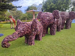 IN PICS: Annual Summer Festival Begins With Vegetable Show In Kotagiri