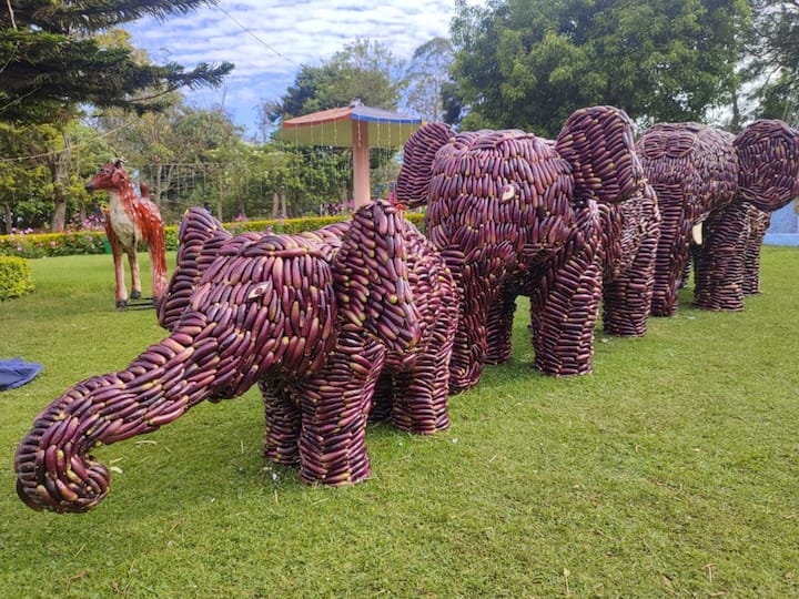 The annual summer festival started with the 12th vegetable show at Nehru Park in Kotagiri on Saturday