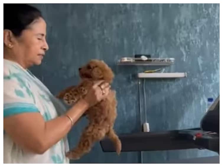 'Somedays You Need...': CM Mamata Banerjee's 'Extra Motivation' Workout Routine Includes Trademill & Puppy 'Somedays You Need...': CM Mamata Banerjee's 'Extra Motivation' Workout Routine Includes Treadmill & Puppy