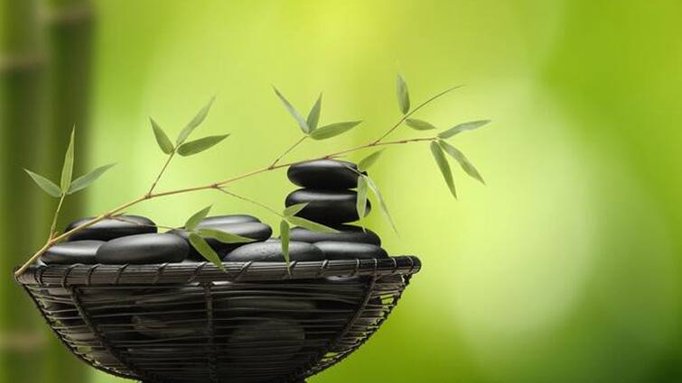 Keep These Five Lucky Things in home for heathy life Feng shui Tips: ફેંગશૂઇની આ 5 વસ્તુઓને ઘરમાં અચૂક રાખો, સંબંધમાં મધુરતા સાથે સુખ સમૃદ્ધિના મળશે આશિષ