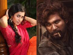 ‘పుష్ప 2’లో నిహారిక, గిరిజన అమ్మాయి పాత్రలో మెగా డాటర్ ఫిక్స్?