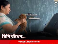 শুধুই বাজেট তৈরি নয়, পোষ্যকে আদরও ট্রেডমিলেই, আদুরে চারপেয়ের সঙ্গে ঘাম ঝরালেন মমতা