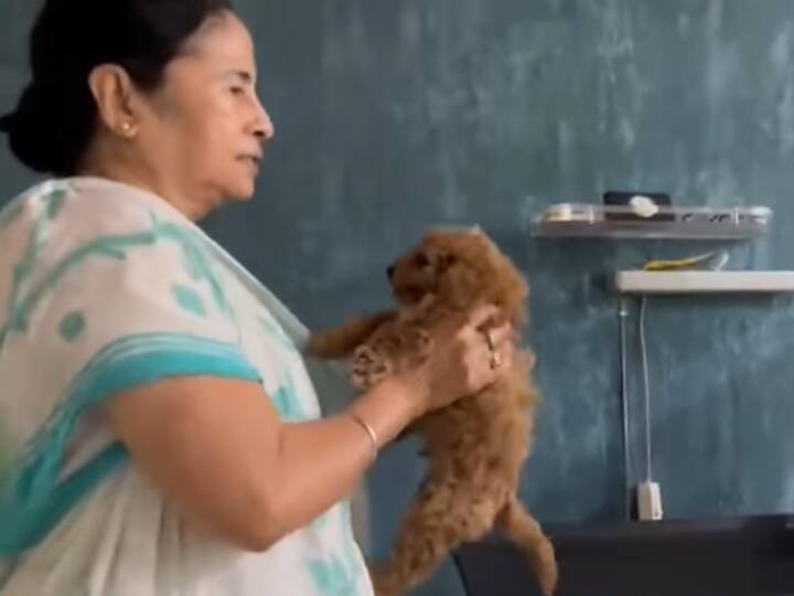 ‘एक्सट्रा मोटिवेशन के लिए…’, ममता बनर्जी ने अपने पप्पी के साथ किया वर्कआउट ‘एक्सट्रा मोटिवेशन के लिए…’, ममता बनर्जी ने अपने पप्पी के साथ किया वर्कआउट