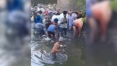 Currency Notes in Drain | Biharలో వింతైన ఘటన..కాలువలో నోట్ల కోసం ఎగబడిన జనం | ABP Desam