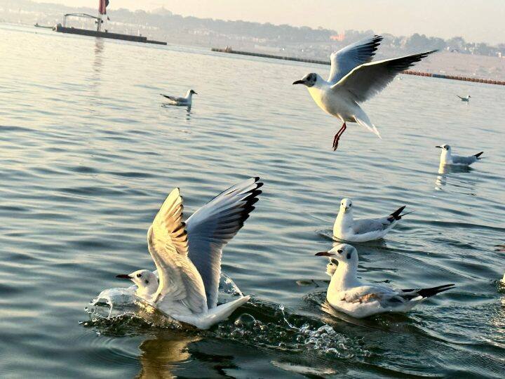 भारतीय रेलवे, भारत गौरव टूरिस्ट ट्रेन से अयोध्या, प्रयागराज, वाराणसी और वैष्णो देवी के टूर पर लोगों को ले जाने वाली है. यह सफर 11 दिन और 10 रातों का होने वाला है, जो कि 27 मई से शुरू होकर 6 जून को पूरा होगा. इस टूर पैकेज का नाम अयोध्या राम मंदिर ट्रेल विद वैष्णो देवी है.