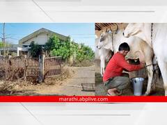 राज्यभरातील तब्बल 28 दूध योजना, 65 शीतकरण केंद्र मरणासन्न अवस्थेत; यंत्रसामुग्री भंगारात काढण्याची प्रक्रिया