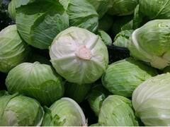 दिल से लकर बालों की मजबूती तक, पत्तागोभी जूस के ये 5 फायदे जानकर आप भी रह जाएंगे हैरान