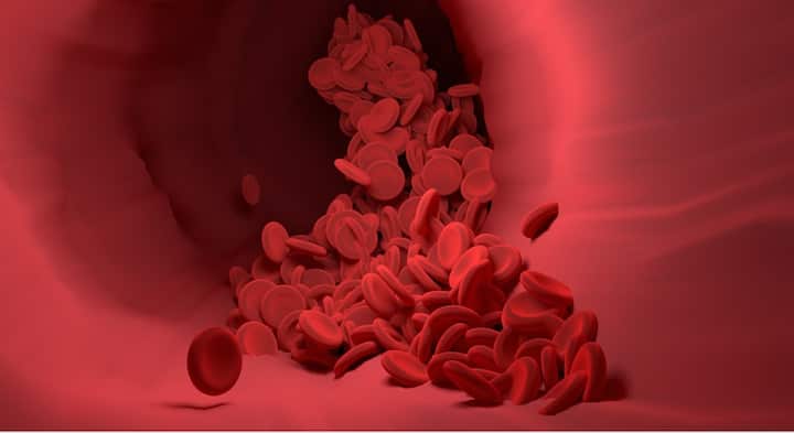 ग्वार फली में मौजूद आयरन हिमोग्लोबिन उत्पादन को बढ़ाती है, जो शरीर में खून की कमी को पूरा करते हैं.इससे ब्लड सर्कुलेशन भी बेहतर बनता है.