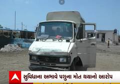 Jamnagar: ઢોર ડબ્બામાં સુવિધાનો અભાવ હોવાનો Congressના કોર્પોરેટર્સનો આરોપ, જુઓ વીડિયો