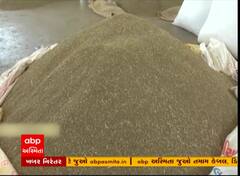 Jeera Price : જીરું પકવતા ખેડૂતો માટે ખુશીના સમાચાર, એક મણ જીરાના બોલાયા અધધ ભાવ