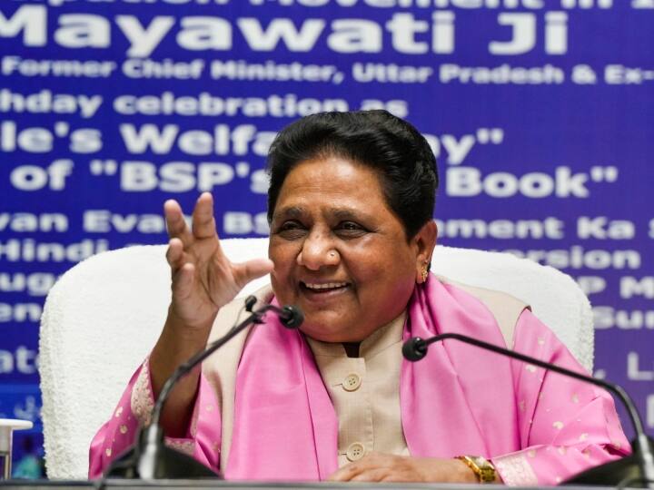 मायावती ने दिल्ली विश्वविद्यालय के कालिंदी कॉलेज से साल 1975 में अपना ग्रेजुएशन पूरा किया और फिर इसी यूनिवर्सिटी से साल 1983 में इन्होंने अपनी वकालत की पढ़ाई भी पूरी की.