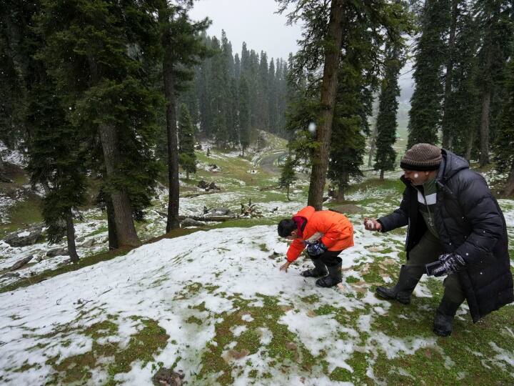 मौसम विभाग ने पर्यटकों को कश्मीर की यात्रा के लिए गर्म कपड़े लाने की सलाह दी है. दरअसल, ऊंचे क्षेत्रों के ज्यादातर स्थानों में न्यूनतम तापमान में 15 डिग्री सेल्सियस की भारी गिरावट आई है. इस बीच, मौसम में बदलाव के कारण कश्मीर घाटी के लिए हवाई टिकट की कीमतों में भारी बढ़ोतरी हुई है.