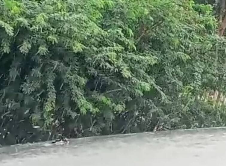 Unseasonal Rain in Amreli Bagsara city and rural farmers worried Amreli: બગસરા શહેર અને ગ્રામ્યના વાતાવરણમાં પલટો, ફરી કમોસમી વરસાદથી ખેડૂતો થયા ચિંતિત