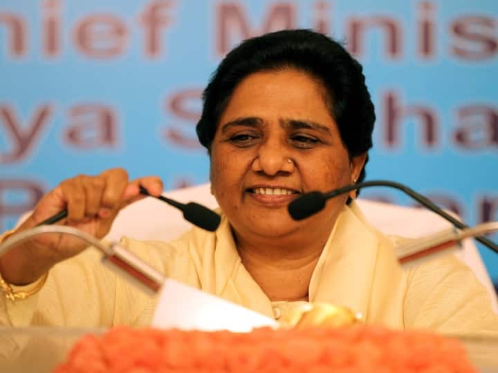 मायावती का जन्म 15 जनवरी, 1956 को दिल्ली में हुआ, लेकिन इनके जीवन का ज्यादातर समय उत्तर प्रदेश में बीता.