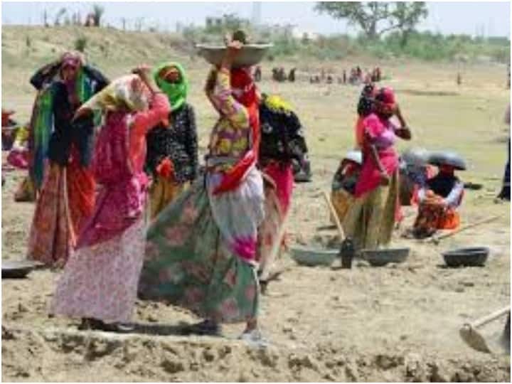 Pratapgarh collector launched a scheme to give employment to labourers and stop migration ann Pratapgarh News: रोजगार के अभाव में न कर लें पलायन कलेक्टर ने छेड़ी मुहिम, 20 हजार मजदूरों को जिले में दिलाएंगे काम