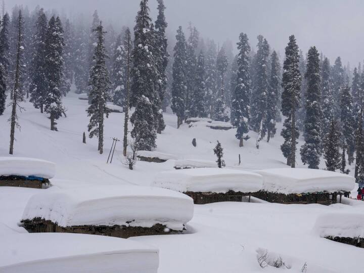 गुजरात के सूरत से आई एक पर्यटक ने कहा, 