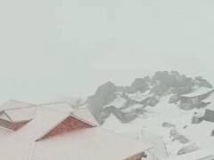 In Pics: हिमाचल प्रदेश में बारिश और बर्फबारी से तापमान में आई जबरदस्त गिरावट, देखें तस्वीरें