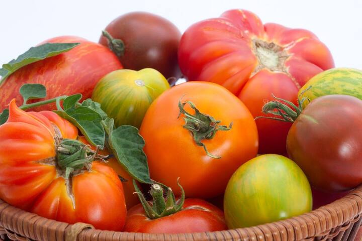 SideEffects Of Eating Tomatoes: ਜ਼ਿਆਦਾਤਰ ਲੋਕ ਟਮਾਟਰ ਖਾਣਾ ਪਸੰਦ ਕਰਦੇ ਹਨ। ਸਬਜ਼ੀ ਹੋਵੇ ਜਾਂ ਸਲਾਦ, ਕਈਆਂ ਨੂੰ ਤਾਂ ਟਮਾਟਰ ਤੋਂ ਬਿਨਾਂ ਸਭ ਕੁਝ ਅਧੂਰਾ ਲੱਗਦਾ ਹੈ।