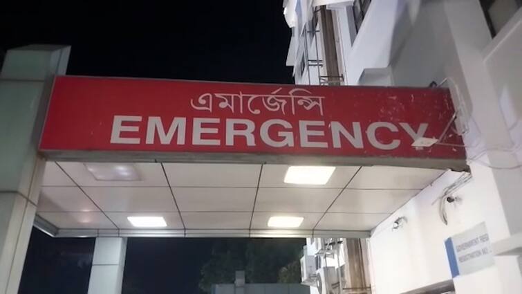 Bullet Fired And Bombs Hurled At Amdanga Of North 24 Parganas Injuring 1 TMC Worker Along With 3 Villagers North 24 Parganas:পঞ্চায়েত ভোটের আগে গুলি-বোমাবাজি, জখম ১ তৃণমূল কর্মী-সহ ৪