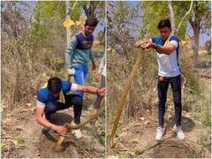 बिना डरे जब शख्स ने पकड़ लिया खतरनाक सांप, 17 मिलियन बार देखा जा चुका है ये वीडियो