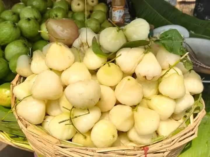 Health Tips benefits of white jamun health tips lifestyle news marathi Health Tips : 'या' आजारात पांढऱ्या जांभळाच्या सेवनामुळे मिळतो फायदा, जाणून घ्या जांभळाचे आठ आरोग्यादायी फायदे