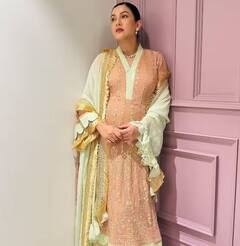 ਟਾਈਟ ਹਾਈ-ਨੇਕ ਡਰੈੱਸ 'ਚ ਪ੍ਰੈਗਨੈਂਟ ਗੌਹਰ ਖਾਨ ਨੇ ਕਰਵਾਇਆ ਮੈਟਰਨਿਟੀ ਫੋਟੋਸ਼ੂਟ , ਫਲਾਂਟ ਕੀਤਾ ਬੇਬੀ ਬੰਪ