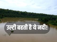 क्या आप जानते हैं क्यों उल्टी बहती है नर्मदा नदी? बहुत कम लोग जानते हैं ये कहानी