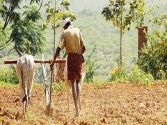 Jalgaon : शेतकऱ्यांसाठी डॉ. पंजाबराव देशमुख व्याज सवलत योजना, काय आहे ही योजना?
