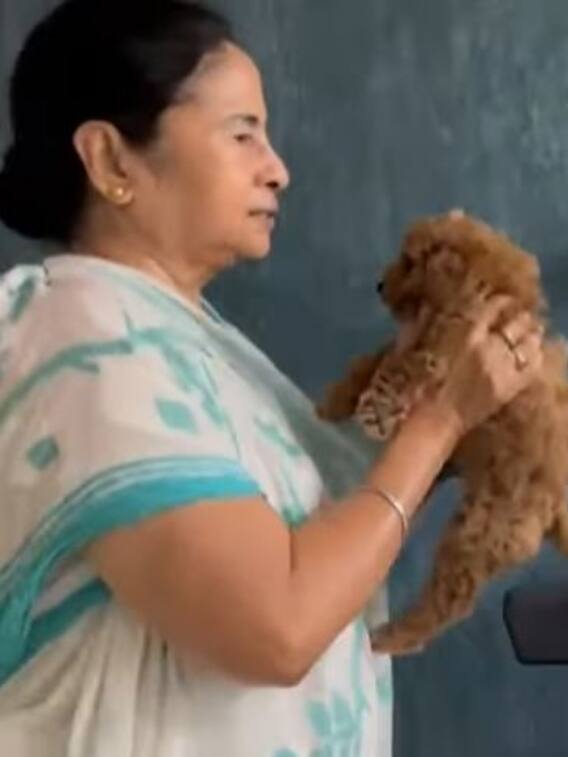 ममता बनर्जी के वर्कआउट का वीडियो वायरल