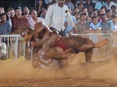 Kokan Kesari 2023 : महाराष्ट्र केसरी बाला शेखची सुरु असलेल्या सामन्यातून माघार, कोकण केसरी स्पर्धेतील प्रकार