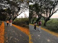 KGF Yash : எதிர்பார்ப்பார்ப்புகளும் யதார்த்தங்களும்.. ஆசை மனைவிக்கு ஸ்பெஷல் போஸ்ட் பதிவிட்ட யஷ்!